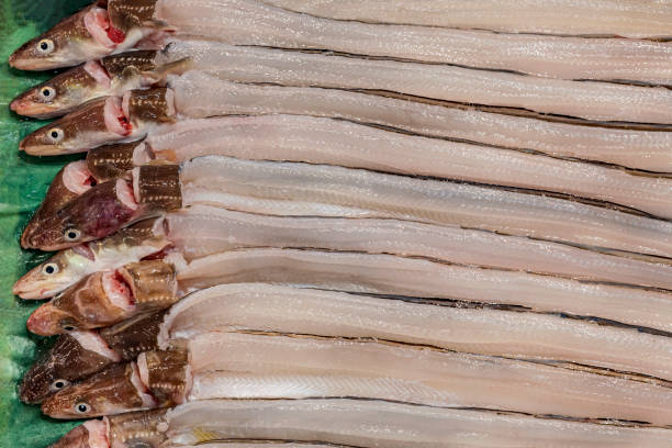 Ready to cook tasty eel fish.