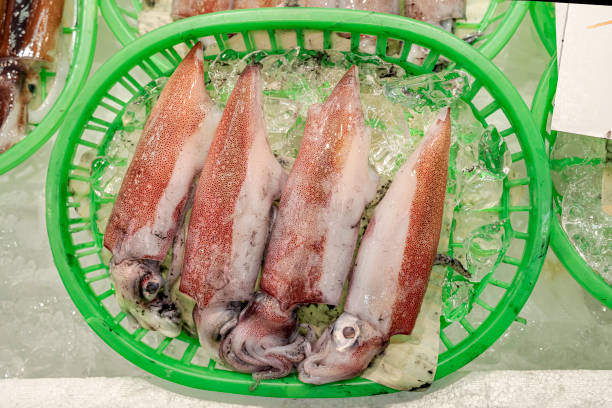 Neatly aligned squids in market.