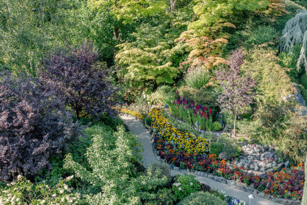 Landscaped path through a Japanese Garden