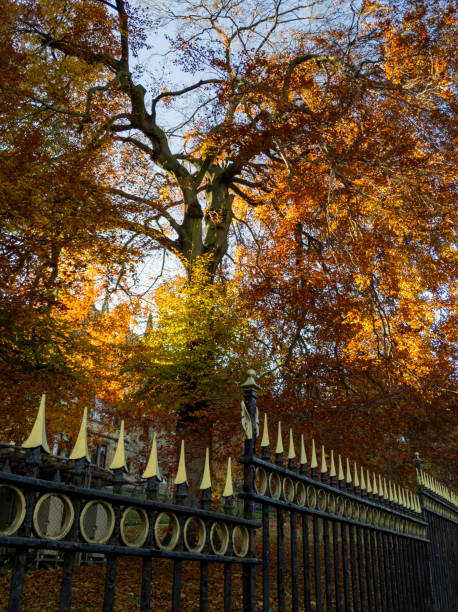 istock Autumn leaves, Glasgow, Scotland 2148761776
