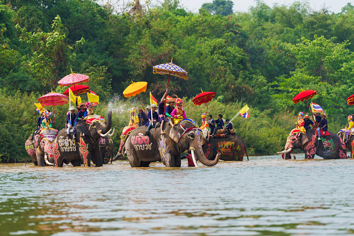 Srisatchanalai District, Thailand- April 7, 2024, Many people celebrate Thai culture in Hadsoiy village, A Man goes into monkshood on an elephant and crosses the river more than a 100th-year-old.