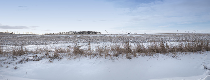 Snowy edge of a white frozen lake in wetland in winter, Almere, Flevoland, The Netherlands, February 10, 2020