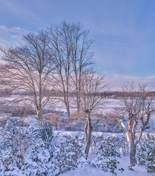Danish nature in wintertime - dressed in frost and snow