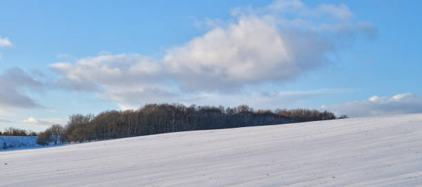 Danish nature in wintertime - dressed in frost and snow