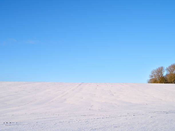 Danish nature in wintertime - dressed in frost and snow