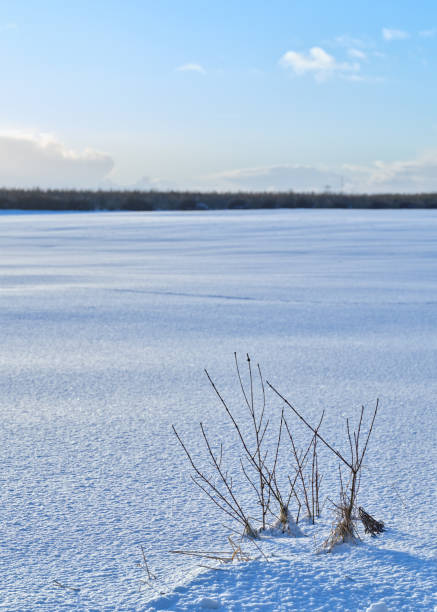 Danish nature in wintertime - dressed in frost and snow