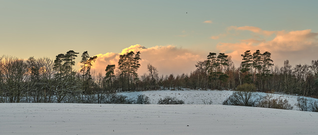 Danish nature in wintertime - dressed in frost and snow