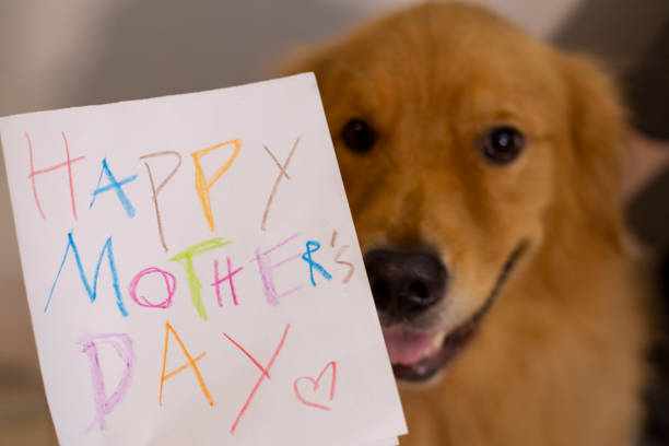 istock Happy Mother´s Day for all the pet moms! 2148764528