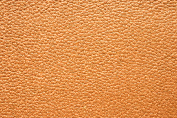 Leather Texture and Fur