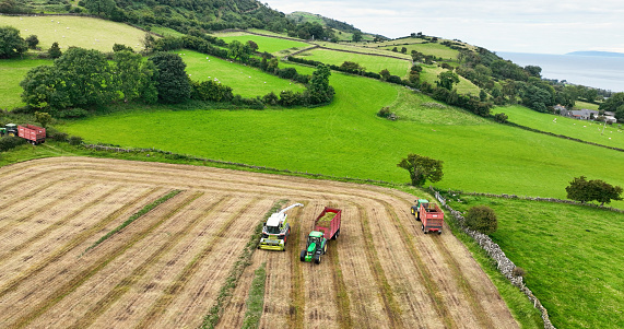 Claas Self Propelled Harvester lifting grass for Silage with a John Deere Tractor and Redrock Trailer on a farm in UK 01-01-24