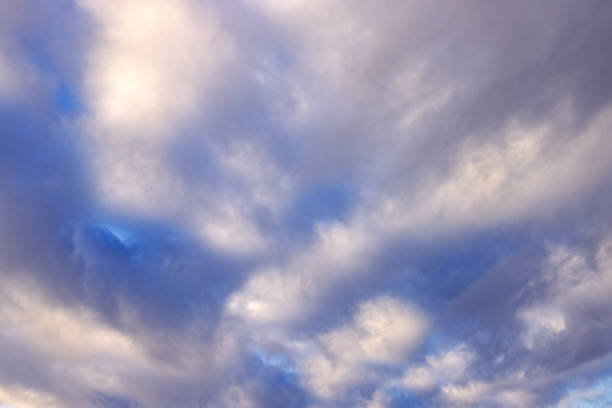 Image was taken in the morning at sunrise in Siberia