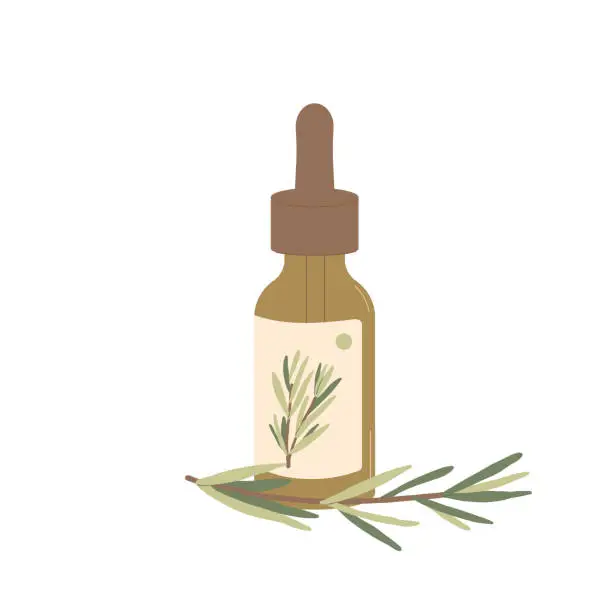 Vector illustration of Rosemary essential oil isolated on white background. Bottle with fresh herb branch green leaves. Vector simple hand drawn illustration.