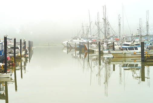 Mist at the Steveston Harbor Authority marina at its Paramount site on the Fraser River. Richmond, British Columbia, Canada near Vancouver. June 24, 2020.