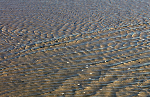 Sunlit ripples move in different directions across a shallow tide pool in Newport Beach