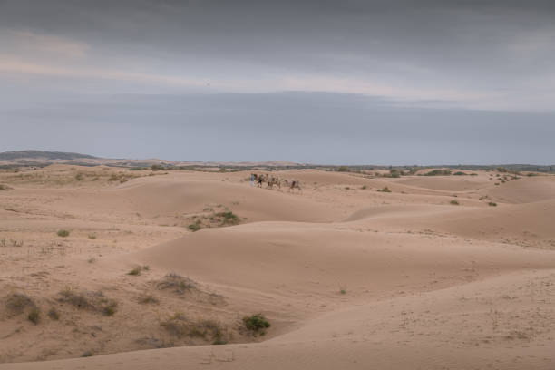 The Badain Jaran Desert is a desert in China which spans the provinces of Gansu, Ningxia and Inner Mongolia. By size it is the third largest desert in China, black and white