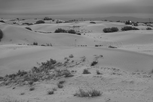 Tengger desert scenery, Inner Mongolia, China. The windy weather with sand moving on Dunes, BLACK AND WHITE