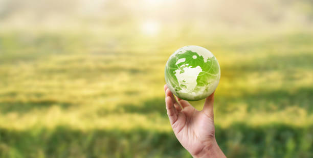istock Globe ,earth in human hand, holding. Earth image provided by Nasa 2148768584
