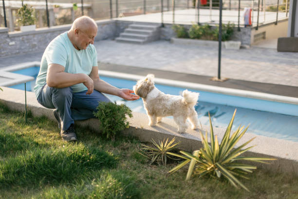 istock Senior Man and His Pet 2148769655