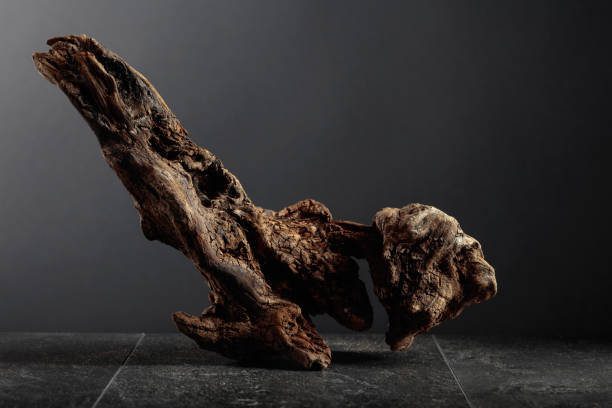 istock Old dry wooden snag on a black stone table. 2148770924