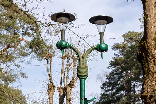 two domes of street lamps in the park on the background of sky and tree branches