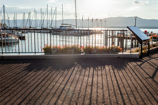 Sunlight filters through a marina on Lake Leman, casting long shadows on the pavement, while boats gently sway in the calm waters, bordered by vibrant flowers.