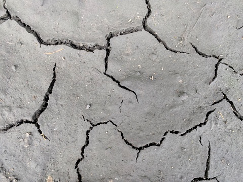 A detailed view of the earths natural canvas, captures the stark beauty of cracked gray soil. The deep fissures create a complex network of patterns, reminiscent of an arid floor.