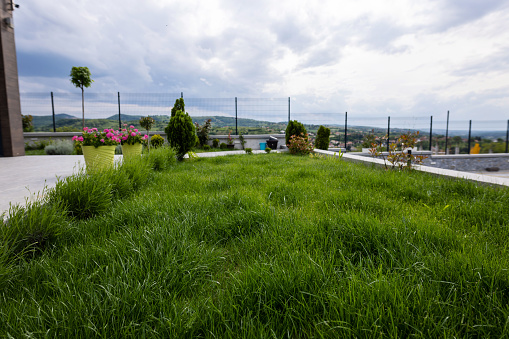 Green front yard lawn