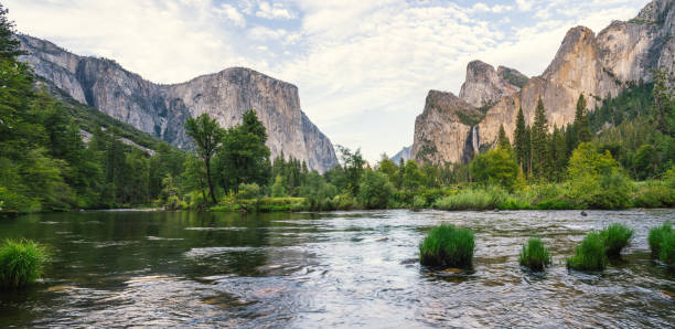 Yosemite National Park Panorama in summer