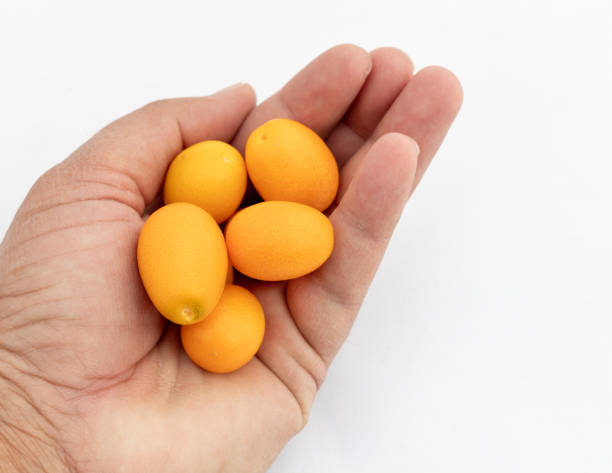 istock Kumquat fruit holding in hand over white background 2148778744