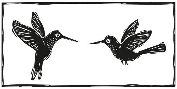 Vector illustration of Hummingbird (colibri) couple hand-drawn in the woodcut style of the northeastern cordel. Vector illustration