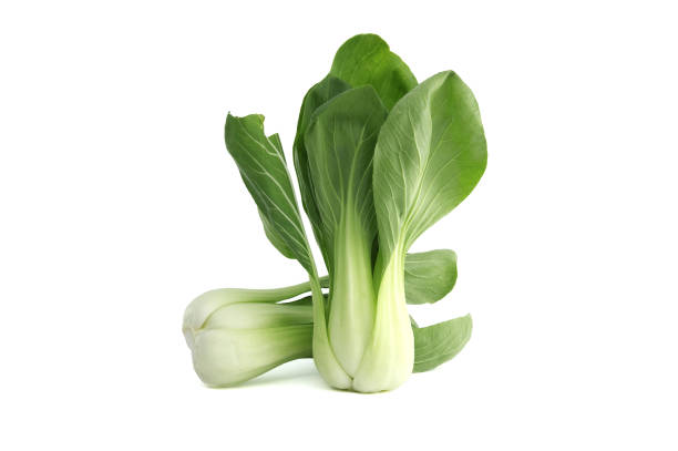 brassica rapa chinensis, called bok choy isolated on white - brassica rapa chinensis imagens e fotografias de stock