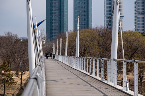 Bridge walkway with winter landscape at Seoul Forest in Seoul, South Korea.