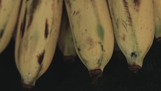 Bananas against black background