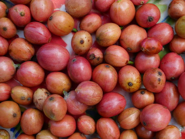 istock Group of ripe red coffee cherry beans 2148784421