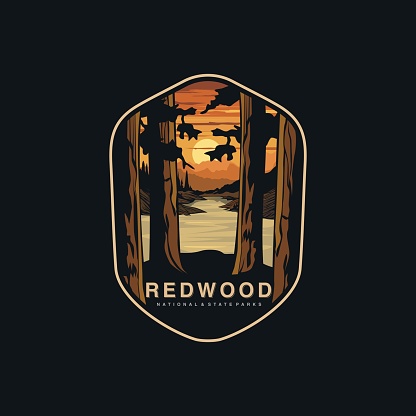 Emblem sticker patch illustration of Redwood National Park on dark background, forest vector badge