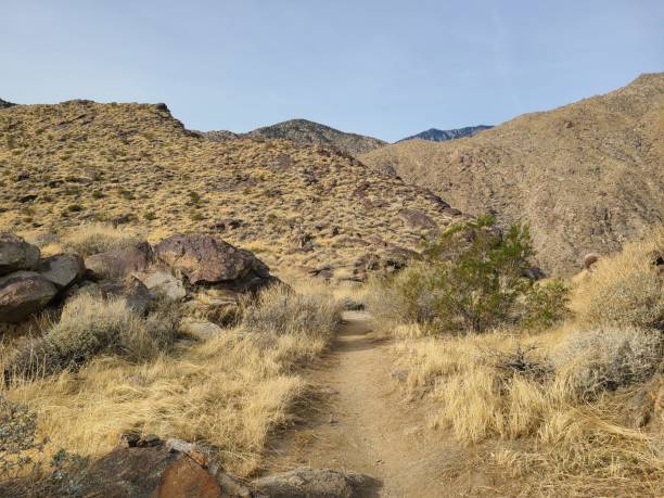 istock Hiking into the San Jacinto mountains, Palm Springs, California 2148785698