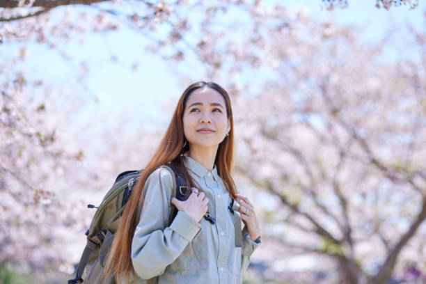 istock Female inbound backpacker enjoying the cherry blossoms in spring 2148787112