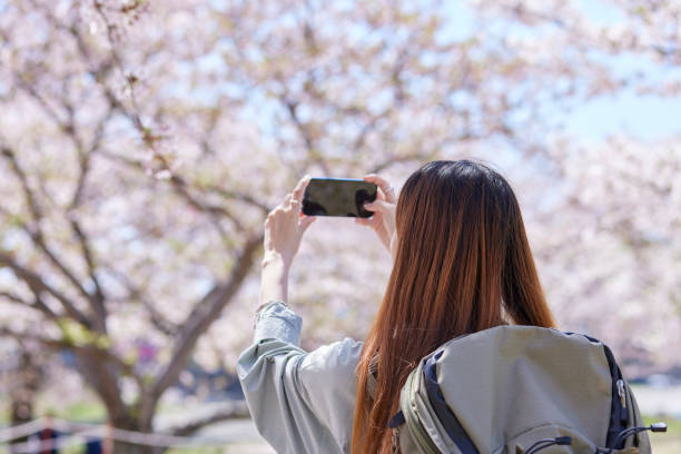 istock Female inbound backpacker enjoying the cherry blossoms in spring 2148787127