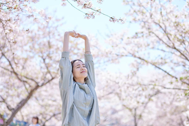 istock Female inbound backpacker enjoying the cherry blossoms in spring 2148787139