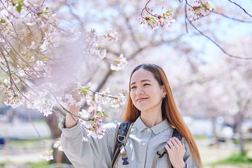 Female inbound backpacker enjoying the cherry blossoms in spring