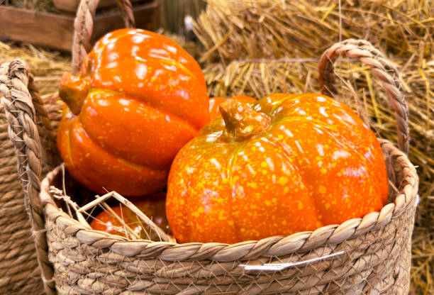 pumpkin isolated on white background