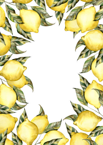 istock Hand-drawn watercolor illustration with lemon on a branch with leaves 2148788276