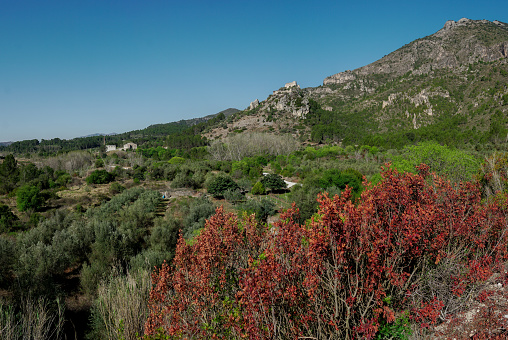 Vista panorámica del Castillo de Perputxent desde las afueras de Lorcha