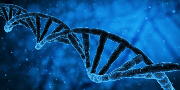 istock Blue DNA structure science research biology and medical concept. 3d Render illustration 2148789518