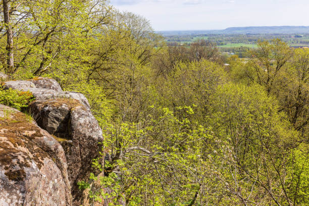 istock Landscape view and a rock face and  budding green trees in the spring 2148789983