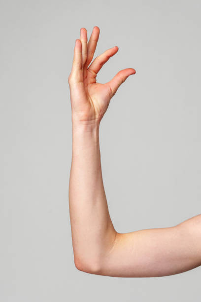 istock Elevated Bare Human Arm Bent at the Elbow Against a Neutral Background 2148790561