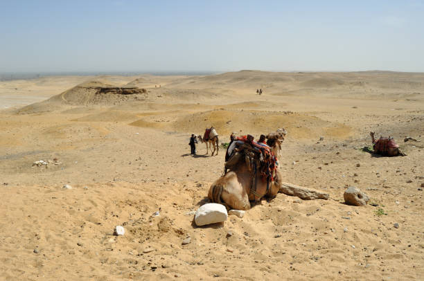 istock Camel Ride at The Giza Pyramids 2148790619
