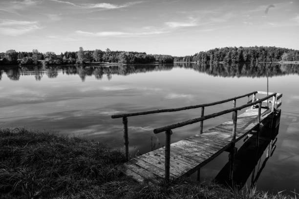Jetty on a small lake surrounded by forest in black and white