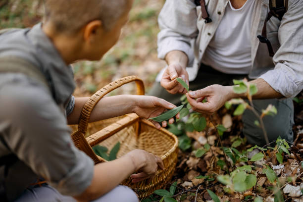 People who go hiking pick plants