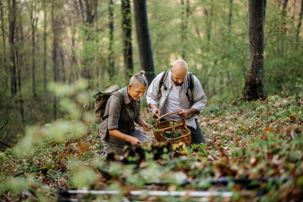 istock People who go hiking pick plants 2148791948